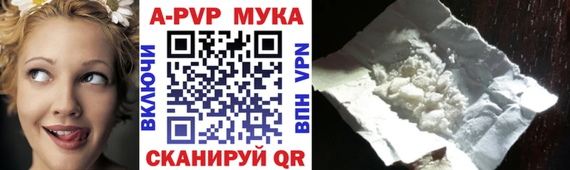 KRAKEN ТОР  Кашин  A-PVP СК КРИС 