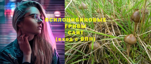 2c-b Богородицк