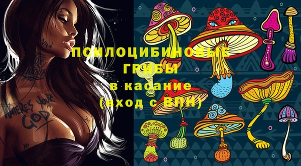 винт Богородск